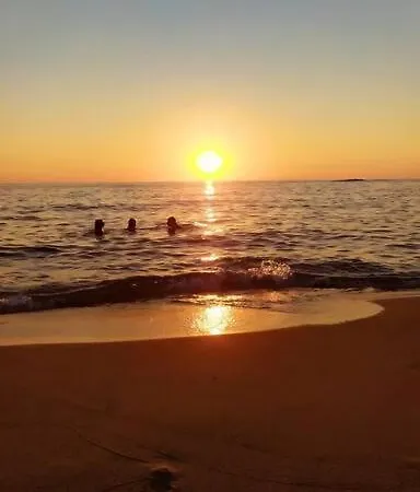 καλλιστη * Petrochori (Peloponnese)